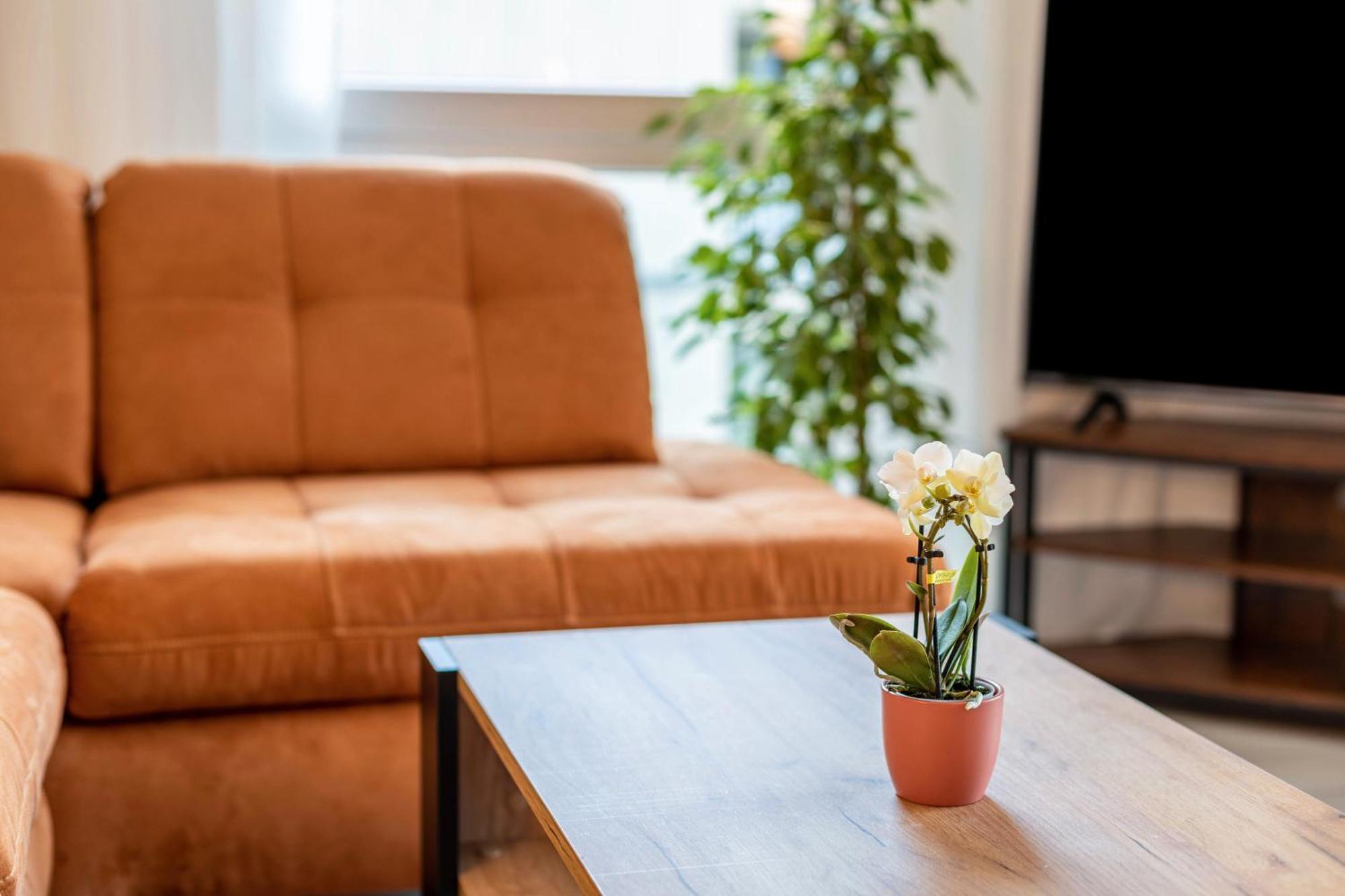 Felsenkeller Appartements Waldkirch Ngoại thất bức ảnh